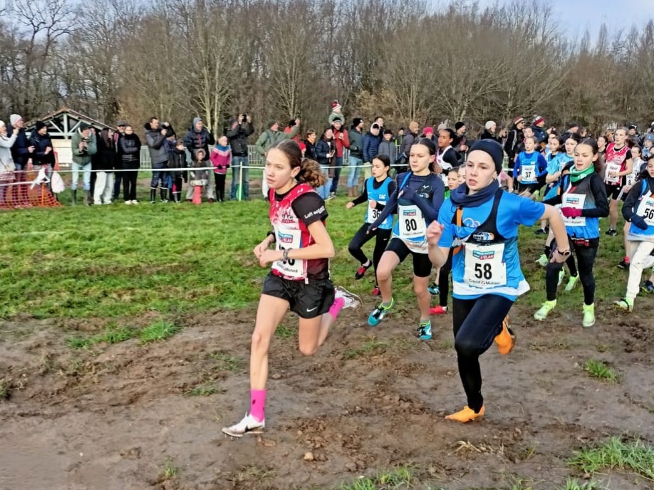 ORGANISATION CROSS DEPARTEMENTAL 2027
