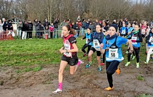 ORGANISATION CROSS DEPARTEMENTAL 2027