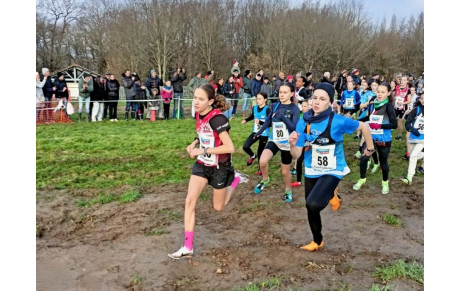 Championnats départementaux de cross