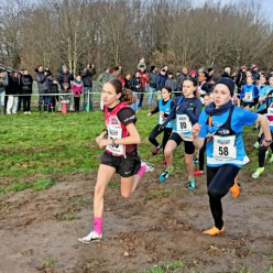 ORGANISATION CROSS DEPARTEMENTAL 2027