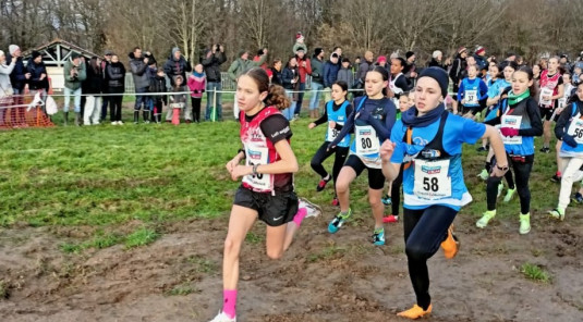 ORGANISATION CROSS DEPARTEMENTAL 2027